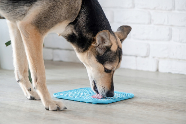 DOG FEEDER MAT