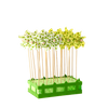 PINWHEEL WITH FROGS 9 x 27,5 CM WHITE/YELLOW