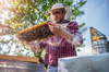 BEEKEEPING/FISHING/MOSQUITO HAT CAMOUFLAGE pack=10pcs