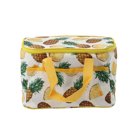 TERMOSKA TAŠKA 25 x 17 x 17 CM 6L KUFŘÍK MIX 2 VZORŮ S DVĚMA CHLAZENÍMI VLOŽKAMI *9264