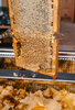 Honey uncapping knife pack of 6pcs