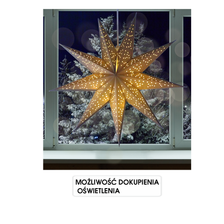 Papierová dekoratívna hviezda 60 cm šedá *9072