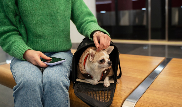 PET CARRY BAG