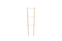 Bamboo double ladder 60 cm pack=25 pcs