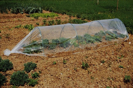 MINI SERĂ DE GRĂDINĂ DIMENSIUNI FOLIE 1,5 x 4 M PLIABILĂ *5417