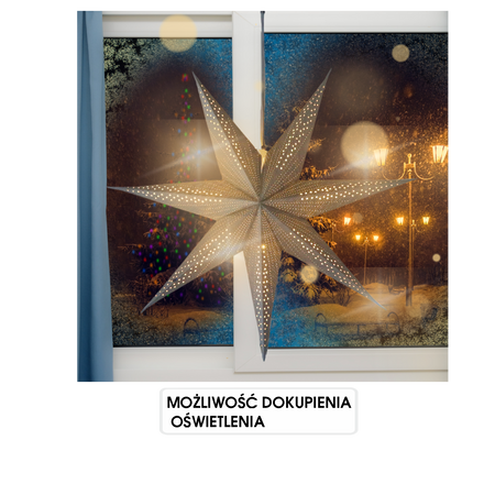 PAPER DECORATIVE STAR 60 CM GRAY