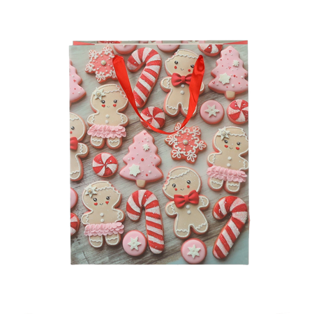 CHRISTMAS GIFT BAG XMAS 18 x 24 x 8 CM