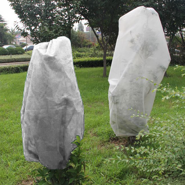 SET DE 2 CAPACITĂȚI DE PROTECȚIE PENTRU PLANTE 0,8 x 1,2 M ALB 50G *8103