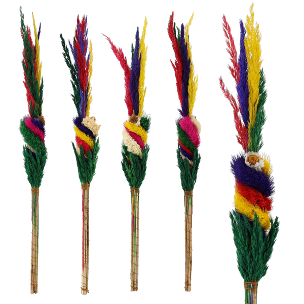 EASTER PALM 40-30 CM