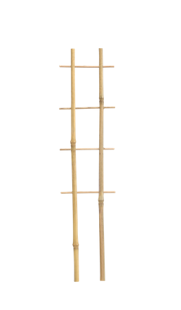 DVOJITÁ BAMBUSOVÁ REBRÍK 37 CM balenie=25ks *3120