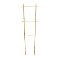 Bamboo double ladder 45 cm pack=25 pcs