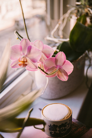 ARTIFICIAL ORCHID WHITE/PINK 70 CM
