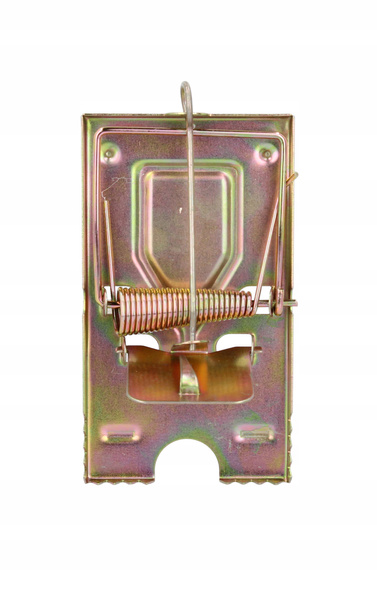 CAPCANĂ PENTRU ȘOARECI METAL 9 x 5 CM ambalaj=36buc *3491