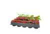 SET OF 20 SEEDLING POTS DIAMETER 6 CM