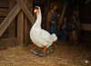 FIGURA GĘŚ 51 CM *7938