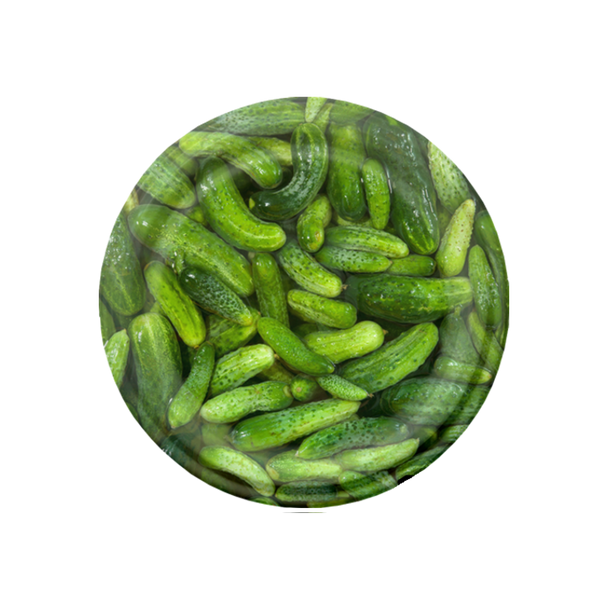 SET OF 10 LIDS DIA 82 CUCUMBER