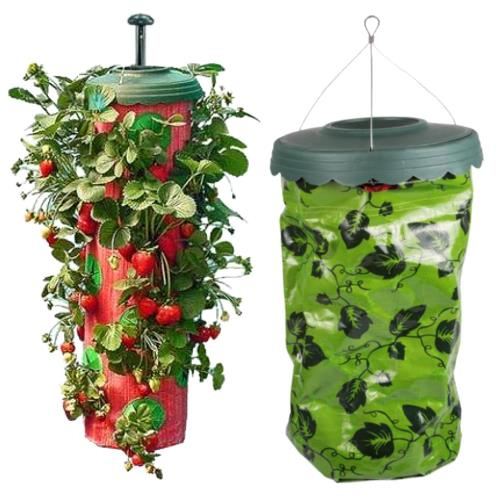 Hanging tomato/strawberry pot - 10 holes