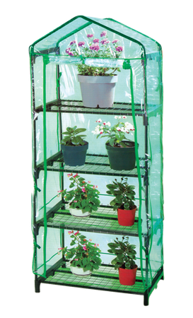Garden Greenhouse with Four Shelves 69 X 49 X H160cm