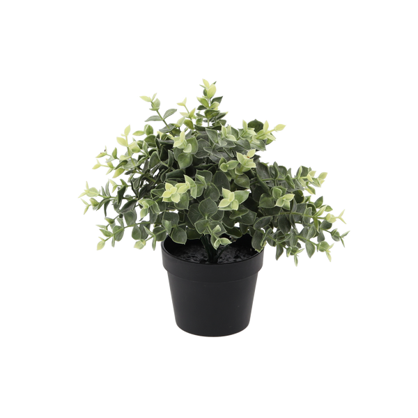 UMELÁ RASTLINA - EURYALYPTUS V KAMENNEJ NÁDORE 22 CM bal.=4 ks *3337