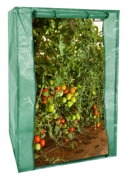 Garden greenhouse 100 X 50 X H150cm