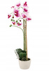ARTIFICIAL ORCHID WHITE/PINK 70 CM