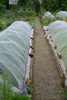 AGROTEXTIL 1.6 x 5 M JARNÍ BÍLÝ 17g *2067