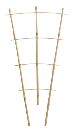 TROJNÁSOBNÁ BAMBUSOVÁ LEZLINA 60 CM balenie=25ks *3113
