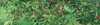Garden mesh for climbing plants 0.9 x 1.8 M pack=6pcs