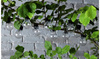 SOLAR GARDEN GARLAND LENGTH 2 + 1.8 M RONA 10 LED WARM WHITE