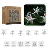 LED LIGHT CHAIN SILVER STARS 10 L WARM WHITE