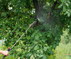 BATTERY SPRAYER 5 L