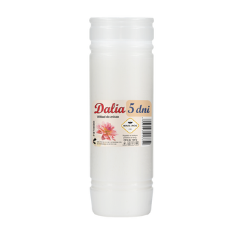 KPL.10 SZT WKŁADÓW  PARAFINOWYCH DALIA 19CM/120H *6352*3040