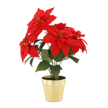 UMELÝ KVET - BETLEHEMSKÁ HVIEZDA 49 CM V ZLATEJ KYPERKE ČERVENÁ *3827