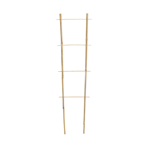 Bamboo ladder 90 CM x 35 CM x 10/12 MM pack=25 pcs