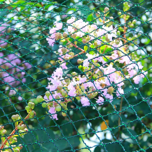 Garden Mesh Safety Net 6x10m (30g/m2) + 6 plastic pegs