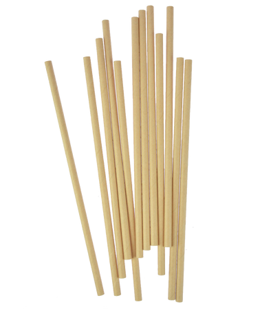 12 PCS PAPER STRAWS 20 CM