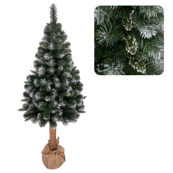 BALTIC PINE DIAMOND ON STUMP 2.2 M CHRISTMAS TREE