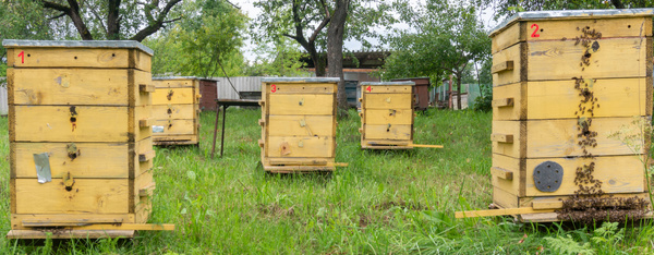 KPL. NUMERKÓW NA ULE opak=50szt *3943