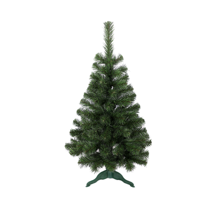 PINUL BALTIC CLASIC 1.2 M BRADUL *1071