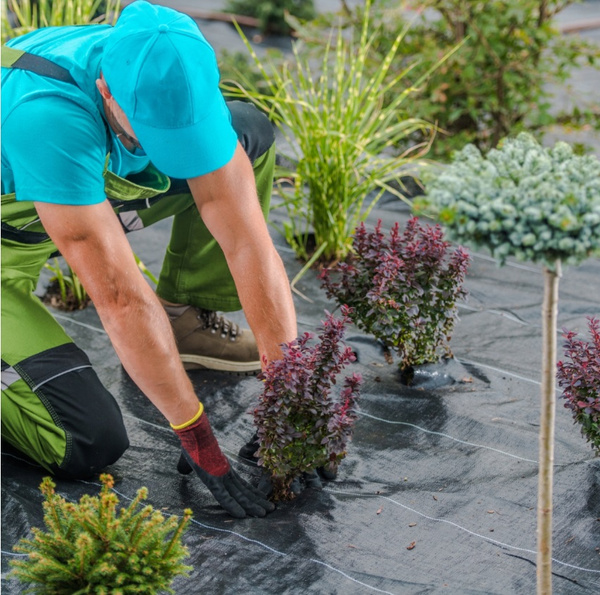 AGROTKANINA ČERNÁ 1,6 x 50 M 135 g/m2 *6438