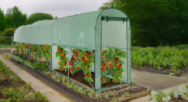 SZKLARNIA OGRODOWA NA POMIDORY 3 x 1 x 2 M ZIELONA Z OPCJĄ DODATKOWEJ WENTYLACJI
