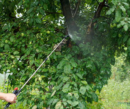 BATTERY BACKPACK SPRAYER 16 L
