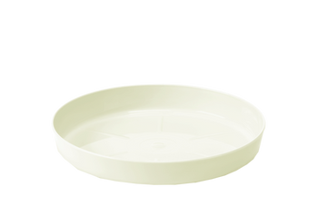 Base No. 6 - Cream (fi 234) *6071*