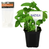 Set de 30 etichete plastice pentru identificarea plantelor ambalaj=12buc *9683