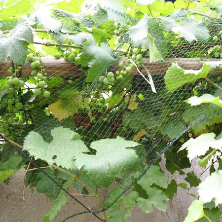 Garden securing mesh 4x10m (30g/m2) + 6 plastic pins