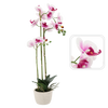 ARTIFICIAL ORCHID WHITE/PINK 70 CM