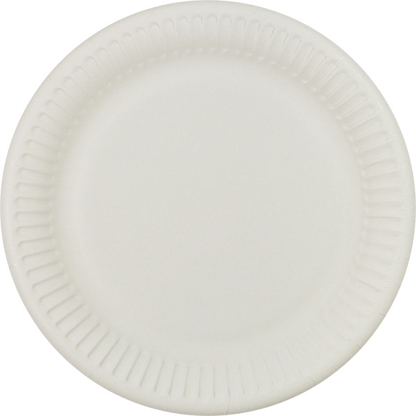 10 PCS PAPER PLATES 23CM0162
