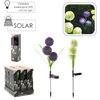 SOLAR LAMP H 68 CM ORNAMENTAL ALLIUM 30 LED WARM WHITE MIX COLOR DISPLAY=12PCS