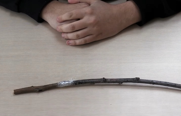 KPL.10 PÁS MAJERU NA OŠETROVANIE KAMENOV *3655