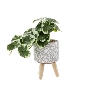 SZTUCZNA ROŚLINA 20 CM opak=6 szt *4887